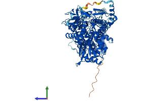 AlphaFold protein structure predicition of Mouse Recombinant Aldh1l2 Protein, UniprotID Q8K009