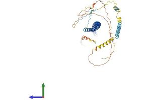 AlphaFold protein structure predicition of Human Recombinant CAVIN1 Protein, UniprotID Q6NZI2