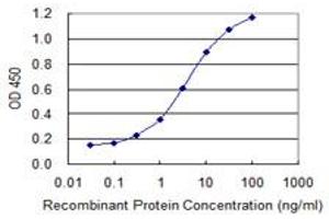 Detection limit for recombinant GST tagged CD3E is 0. (CD3 epsilon anticorps  (AA 23-207))