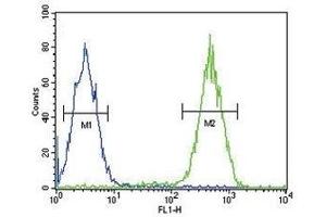 CD11b antibody flow cytometric analysis of Jurkat cells (right histogram) compared to a negative control cell (left histogram).