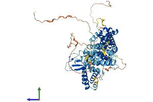 AlphaFold protein structure predicition of Mouse Recombinant Rasgrp4 Protein, UniprotID Q8BTM9