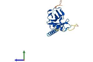 AlphaFold protein structure predicition of Mouse Recombinant Cd69 Protein, UniprotID P37217