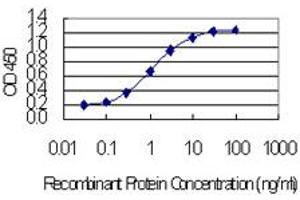 Detection limit for recombinant GST tagged CCDC12 is 0. (CCDC12 anticorps  (AA 1-166))