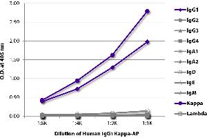 ELISA plate was coated with Mouse Anti-Human IgG1 Hinge-UNLB was captured and quantified.