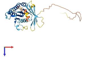 AlphaFold protein structure predicition of Mouse Recombinant Swsap1 Protein, UniprotID Q8VCI7
