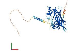 AlphaFold protein structure predicition of Mouse Recombinant Rpusd4 Protein, UniprotID Q9CWX4