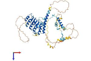 AlphaFold protein structure predicition of Mouse Recombinant Lmod2 Protein, UniprotID Q3UHZ5