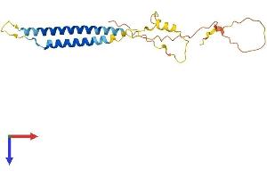 AlphaFold protein structure predicition of Human Recombinant NRSN2 Protein, UniprotID Q9GZP1