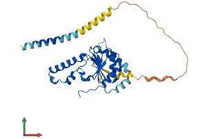 AlphaFold protein structure predicition of Mouse Recombinant Nus1 Protein, UniprotID Q99LJ8