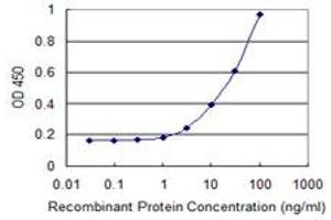 Detection limit for recombinant GST tagged CLP1 is 1 ng/ml as a capture antibody. (CLP1 anticorps  (AA 316-425))