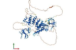 AlphaFold protein structure predicition of Human Recombinant CLIP4 Protein, UniprotID Q8N3C7