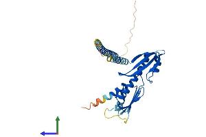 AlphaFold protein structure predicition of Human Recombinant CENPO Protein, UniprotID Q9BU64