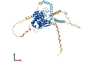 AlphaFold protein structure predicition of Mouse Recombinant Pnpla2 Protein, UniprotID Q8BJ56