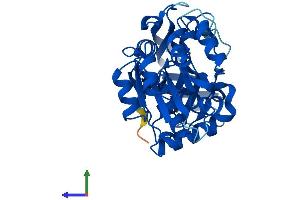 AlphaFold protein structure predicition of Human Recombinant PTGR2 Protein, UniprotID Q8N8N7