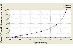 Typical standard curve (Anti-TNF-alpha Autoantibody Kit ELISA)