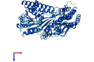 AlphaFold protein structure predicition of Human Recombinant DHX58 Protein, UniprotID Q96C10