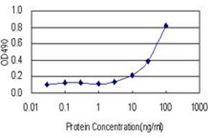 Sandwich ELISA detection sensitivity ranging from 3 ng/mL to 100 ng/mL. (LIPG (Humain) Matched Antibody Pair)