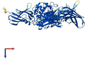 AlphaFold protein structure predicition of Mouse Recombinant Tgm4 Protein, UniprotID Q8BZH1