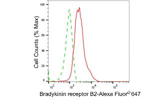 anti-Bradykinin Receptor B2 (BDKRB2) antibody
