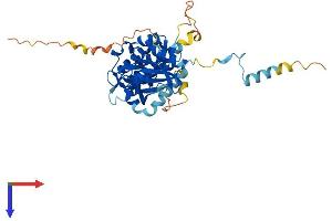 AlphaFold protein structure predicition of Human Recombinant MAPKAPK3 Protein, UniprotID Q16644