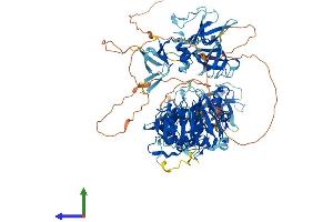 AlphaFold protein structure predicition of Mouse Recombinant Cyld Protein, UniprotID Q80TQ2