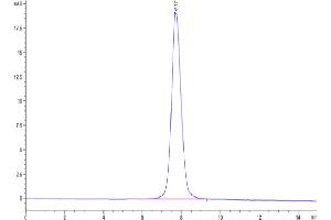 Size-exclusion chromatography-High Pressure Liquid Chromatography (SEC-HPLC) image for SARS-CoV-2 Spike S1 (C.37 - Lambda) protein (His tag) (ABIN7275137)