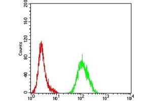anti-Autophagy related 4B Cysteine Peptidase (ATG4B) (AA 1-221) antibody