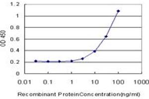 anti-Calcium/calmodulin-Dependent Protein Kinase II alpha (CAMK2A) (AA 305-410) antibody