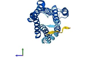 AlphaFold protein structure predicition of Human Recombinant KDELR3 Protein, UniprotID O43731