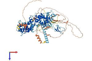 AlphaFold protein structure predicition of Human Recombinant RASGRP1 Protein, UniprotID O95267