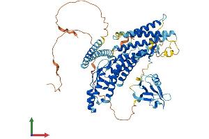 AlphaFold protein structure predicition of Mouse Recombinant Rhpn1 Protein, UniprotID Q61085