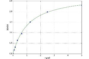 Heat Shock Protein 90 (HSP90) ELISA Kit