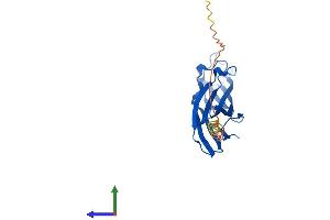 AlphaFold protein structure predicition of Mouse Recombinant Asf1a Protein, UniprotID Q9CQE6