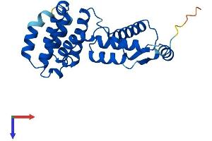 AlphaFold protein structure predicition of Human Recombinant GID8 Protein, UniprotID Q9NWU2