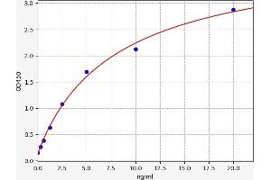 Typical standard curve (NPY5R Kit ELISA)