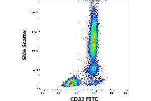 Flow cytometry surface staining pattern of human peripheral whole blood stained using anti-human CD32 (3D3) FITC antibody (4 μL reagent / 100 μL of peripheral whole blood). (Fc gamma RII (CD32) anticorps (FITC))
