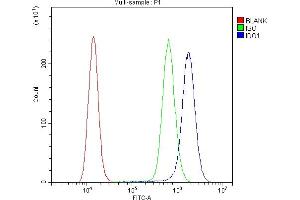 anti-Indoleamine 2,3-Dioxygenase 1 (IDO1) (AA 37-69), (N-Term) antibody