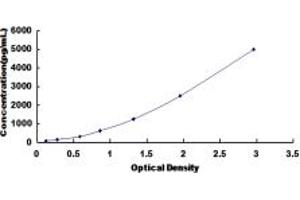 Typical standard curve (BCL9 Kit ELISA)