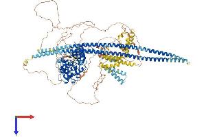 AlphaFold protein structure predicition of Human Recombinant TAOK2 Protein, UniprotID Q9UL54