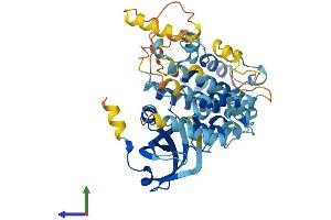 AlphaFold protein structure predicition of Human Recombinant MAPKAPK5 Protein, UniprotID Q8IW41