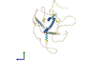 AlphaFold protein structure predicition of Mouse Recombinant Mitf Protein, UniprotID Q08874