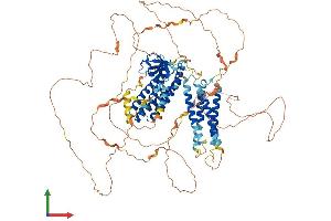 AlphaFold protein structure predicition of Mouse Recombinant Bcar1 Protein, UniprotID Q61140