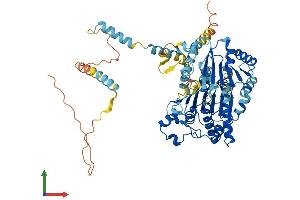 AlphaFold protein structure predicition of Mouse Recombinant Ddx41 Protein, UniprotID Q91VN6