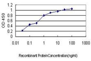 Detection limit for recombinant GST tagged CDSN is approximately 0. (Corneodesmosin anticorps  (AA 306-355))