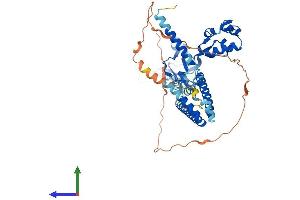 AlphaFold protein structure predicition of Human Recombinant SMARCD1 Protein, UniprotID Q96GM5