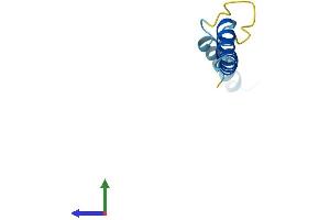 AlphaFold protein structure predicition of Mouse Recombinant Serp2 Protein, UniprotID Q6TAW2