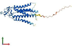 AlphaFold protein structure predicition of Mouse Recombinant Plpp2 Protein, UniprotID Q9DAX2