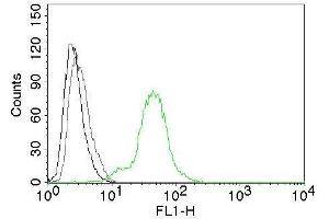 Flow Cytometry of human ER beta on BT474 cells. (ESR2 anticorps  (C-Term))