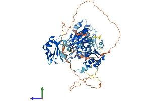 AlphaFold protein structure predicition of Human Recombinant ESRP1 Protein, UniprotID Q6NXG1