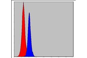Flow cytometric analysis of MCF-7 cells using CEBPB mouse mAb (blue) and negative control (red). (CEBPB anticorps)